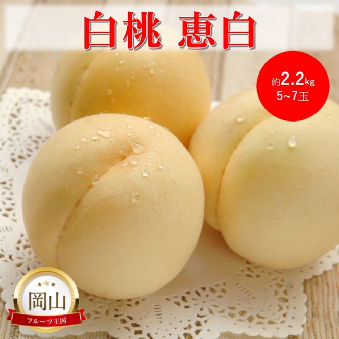 2026年 早期受付 岡山県産 白桃 恵白 (約2.2kg) 5～7玉 桃 もも 果物 フルーツ