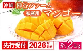 【先行受付】【2026年発送】神谷ファームのマンゴー（家庭用）約2Kg - 先行予約 沖縄県産 産地直送 南国フルーツ 旬の味覚 季節の果物 ご自宅用 沖縄マンゴー 沖縄県 八重瀬町