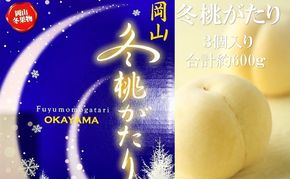 桃 2026年 先行予約  岡山県産 白桃 冬桃がたり 3個入り 約600g もも モモ 岡山県産 国産 フルーツ 果物 ギフト 
