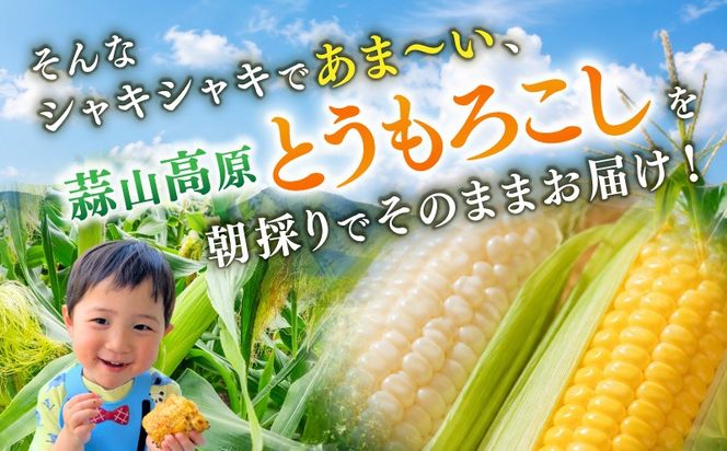 【先行予約】 朝採れ 蒜山高原 とうもろこし ミックス20本 | 7月下旬～8月上旬頃出荷予定 数量限定 人気 朝採り 新鮮 スイートコーン トウモロコシ 高糖度 甘い 夏野菜 岡山県 真庭市 産地直送 ギフト 【配送不可地域：北海道／沖縄県／離島】【jujy004-02】