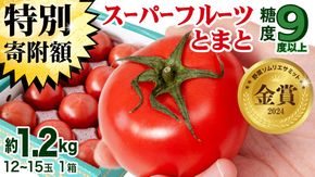 【 早期申込み限定 特別寄附額 】 スーパーフルーツトマト 中箱 約1.2kg × 1箱 【 大玉 12～15玉/1箱】 2026年産 糖度9度 以上 トマト とまと フルーツトマト フルーツ 野菜 やさい 高糖度 [AF001ci]