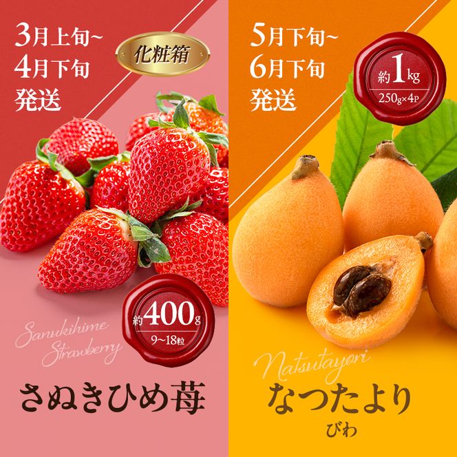 讃岐のフルーツ8回定期便【B】【香緑キウイ】【デコポン】【さぬきひめ苺】【なつたより(びわ)】【さぬきの桃】【さぬきゴールドキウイ】【さぬきエンジェルスイート】【金時紅みかん】