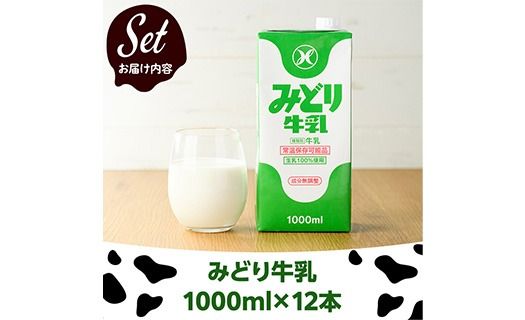  みどり牛乳(計12L・1000ml×12本)常温 保存 ミルク 生乳 長期保存 ロングライフ 乳製品 防災 備蓄 大分県 佐伯市【GT02】【九州乳業株式会社】
