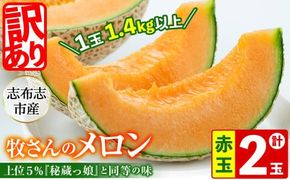 【冬限定・数量限定】牧さんの訳ありメロン 赤玉(赤肉)計2玉 b0-105-w