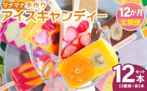 アイス 【12回定期便】手作りアイスキャンデー 12本セット Wys-0033