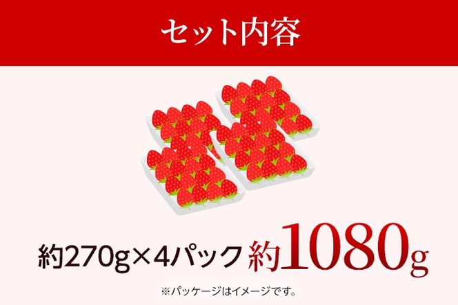 【先行受付】農家直送 朝採り新鮮いちご【博多あまおう】＜12月より順次発送＞ 約270g×4パック 福岡県産 苺 イチゴ 朝採れ 冷蔵 スイーツ ジュース ギフト プレゼント お土産 九州 福岡土産 ※北海道・沖縄・離島は配送不可