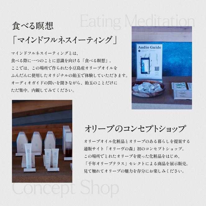 【 小豆島 】千年オリーブテラス for your wellness オリーブオイルテイスティング 講座 （入園つき） ペアチケット 旅行 旅 オリーブオイル 体験 体験チケット オリーブテラス ペア チケット 香川 香川県 土庄 土庄町