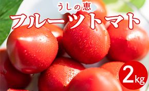 野菜ソムリエが育てた うしの恵フルーツトマト2kg mj-0028