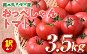 【訳あり】 おっぺしゃんトマト 3.5kg トマト とまと 野菜 やさい 旬の野菜 新鮮な野菜 地元産野菜 ご当地 国産 特産品 家庭用 食卓 熊本県 八代市