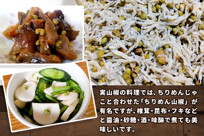 塩蔵実山椒 50g×4個 手作り  秋田県 北秋田阿仁産 [自家製 手作り]|jang-020401