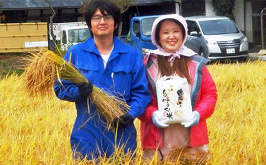 【12ヶ月定期便】減農薬栽培 ひとめぼれ 玄米 10kg（5kgx2袋） 【1113】