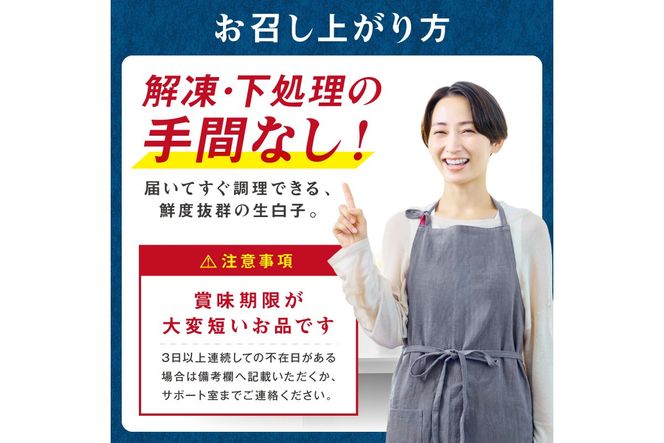 【予約：2027年1月中旬から順次発送】チルド発送で鮮度抜群 濃厚クリーミーな旬の味覚！ポン酢で味わう冬の贅沢 北海道産 真鱈白子 1.5kg ( 白子 真鱈 マダラ たら タラ 魚介類 水産物 おつまみ )【241-0036】