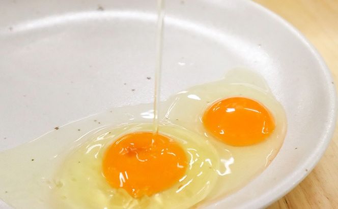 土佐ジロー卵の米粉フィナンシェ（５個）と土佐ジロー黄色プリン（５個）