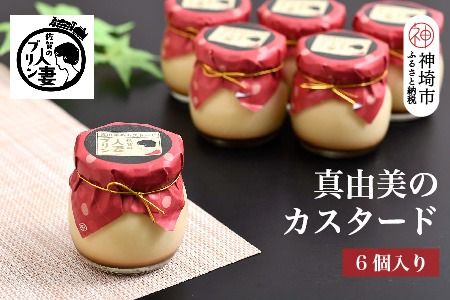 yꌧ_sz̐lȃvys̐lCz^R̃JX^[h6lyerŏЉ v}bv  XC[cz (H034108)