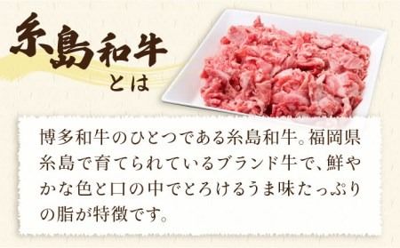 【牛肉＆豚肉セット】 糸島和牛 小間切れ 500g ＆ 糸島和牛 糸島豚 合挽ミンチ 500g 計1kg《糸島》【糸島ミートデリ工房】 [ACA236]