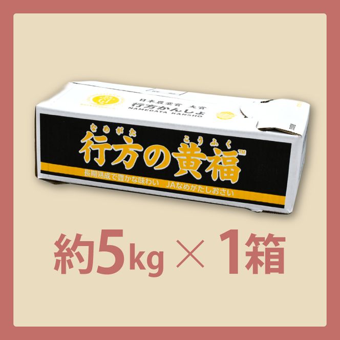 【訳あり】行方かんしょ「行方の黄福（栗かぐや）」さつまいも約5kg（洗い・不揃い・C品）｜茨城県 行方市 ふるさと納税 芋 野菜 栗かぐや(AE-150)