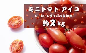 ミニトマト アイコ (松トマト） 約2kg（S・M・Lサイズおまかせ）【2月発送】【sml131A-2】
