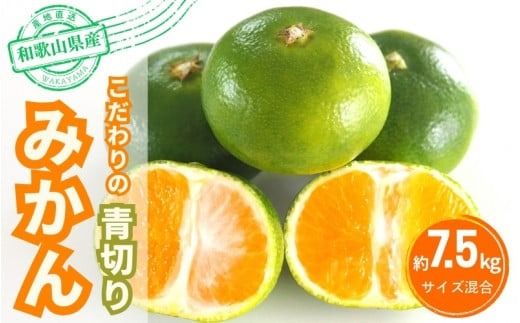 [2026年秋頃発送予約分]＼光センサー選別/ [農家直送]先行予約 こだわりの青切りみかん 約7.5kg 有機質肥料100% サイズ混合 ※2026年9月〜10月に順次発送予定(お届け日指定不可) みかん 柑橘類[nuk107F]
