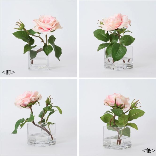 アートフラワー エミリオ・ロバ プリマローズpk-XS TTNTA62080