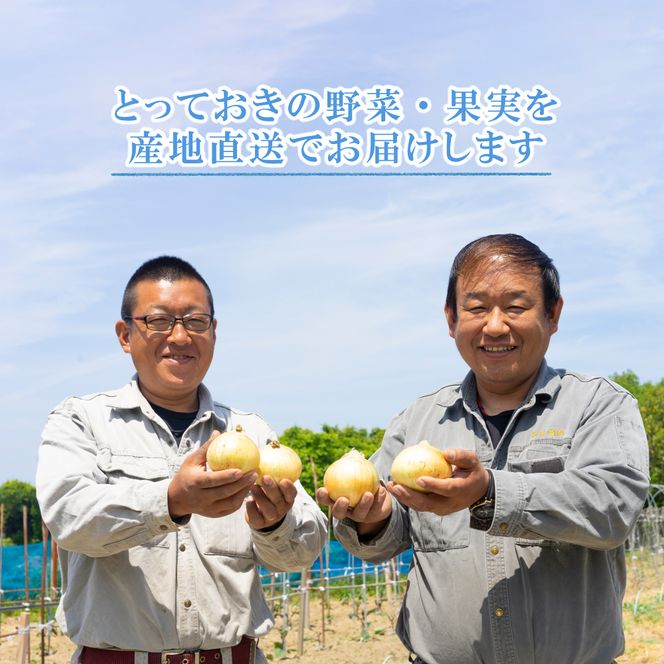 名手農園の淡路島産玉ねぎスープ 6g×60袋　 スープ