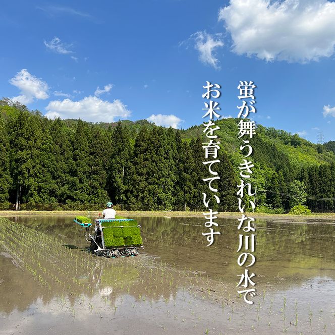 キヌヒカリ 10kg 新米 京都 丹波 お米 米 精米 きぬひかり 産地直送 令和8年 10キロ 新米26