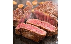 伊賀牛 ヒレステーキ 約180g×3枚（合計約540g） cook0051