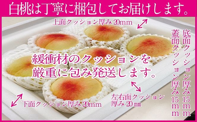 桃 2026年 先行予約 岡山の白桃 250g以上×6玉 白桃 旬 みずみずしい 晴れの国 おかやま 岡山県産 フルーツ王国 果物王国 デザート 岡山の桃 旬の桃 
