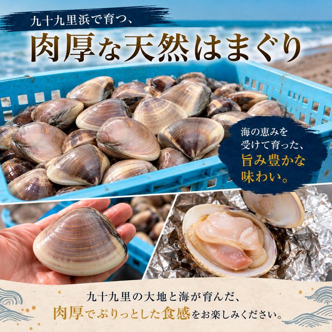 はまぐり 千葉 九十九里産 天然はまぐり 2.5kg 貝 海鮮 海産物 海の幸 魚介 魚介類 水産 水産物 はまぐり鍋 バーベキュー BBQ お吸い物 国産 天然 ハマグリ 蛤 絶品九十九里の”味” 産地直送 冷蔵 冷蔵配送 千葉県 九十九里 九十九里町