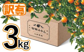 【訳あり】有田みかん 約3kg 家庭用  EY001