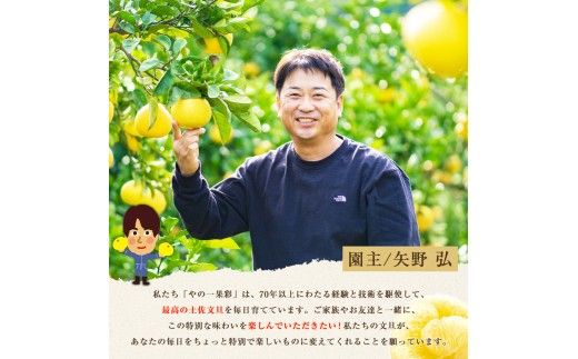 先行予約 園主こだわりの土佐文旦 10キロ 大小混合（４L～Mサイズ） 2027年1月下旬より順次発送 ぶんたん ブンタン 柑橘 みかん 【やの一果彩】 [BQAC015]
