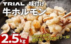 牛肉 ホルモン シマチョウ シマ腸 しま腸 味付け牛ホルモン 2.5kg 味付き 味付き肉レモン 塩レモン 塩レモンだれ 冷凍 簡単調理 惣菜 おかず おつまみ 酒のつまみ 酒の肴