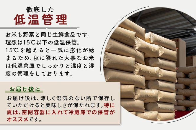 ※令和7年産※秋田県産 あきたこまち 40kg【玄米】(5kg小分け袋) 【1回のみお届け】2025年産 お届け時期選べる お米 藤岡農産|foap-21101