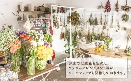 【数量限定】 ドライフラワー スワッグ 《糸島》【PLAISIR】贈り物 花 インテリア 部屋 飾り [ANC005]