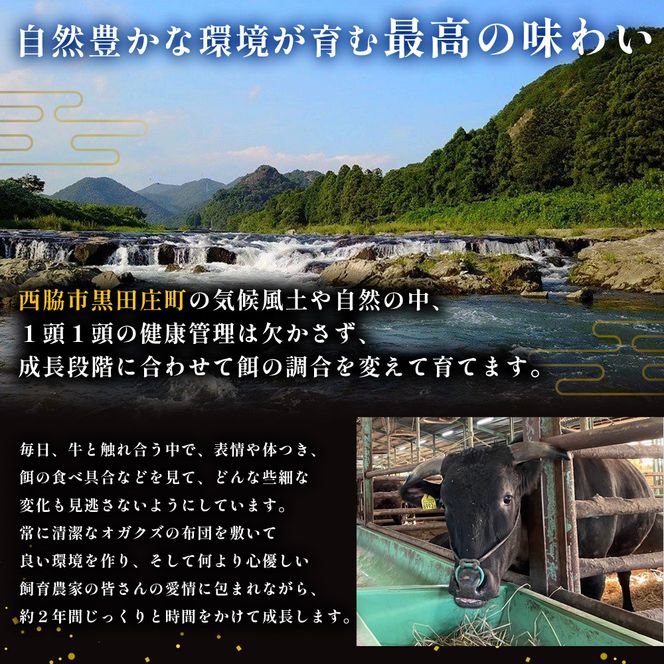 【最短7営業日発送】【神戸ビーフ 素牛】特選 黒田庄和牛サーロインステーキ（180g×3枚）(tokusan-32)