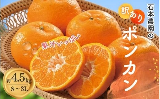 みかん 訳あり S-3L サイズおまかせ 石本農園のポンカン 4.5kg [2026年1月中旬から2月中旬頃までに順次発送]/ みかん ミカン 蜜柑 ぽんかん 訳あり おまかせ[mis016]