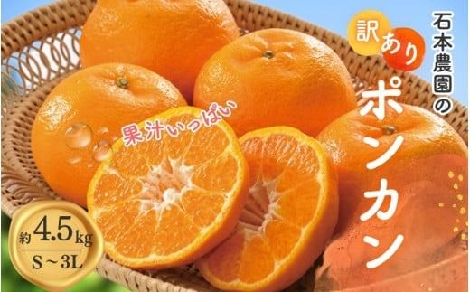 訳あり S-3L サイズおまかせ 石本農園のポンカン 4.5kg 【2025年1月中旬から2月中旬頃までに順次発送】/ みかん ミカン 蜜柑 ぽんかん 訳あり おまかせ【mis016】