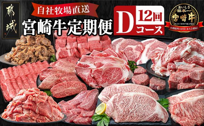 宮崎牛定期便(12回お届け) Dコース_N25-004-T12 宮崎牛 リブロース 肩ロース サーロイン モモ ロース バラ カルビ 味噌漬け 赤身 ミスジ スライス ステーキ サイコロ 切り落とし 鉄板焼き