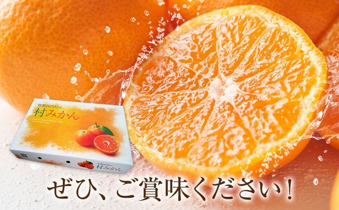 雨よけ完熟みかん「あまあま」選べる内容量 約2.2kg  正木　久之《12月下旬-1月中旬》徳島県 佐那河内村 みかん ミカン 蜜柑 柑橘 箱入り 化粧箱 フルーツ 果物 くだもの 贈答【配送不可地域あり】※離島不可---sanagouchi_mhy_1_1hk---
