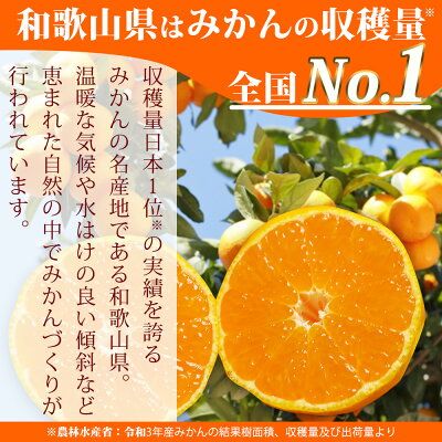 AT6255n_【2026年先行予約】有田みかん 約10kg ご家庭用 和歌山 ゆら早生 極早生 (SS、Sサイズ)【湯浅町】