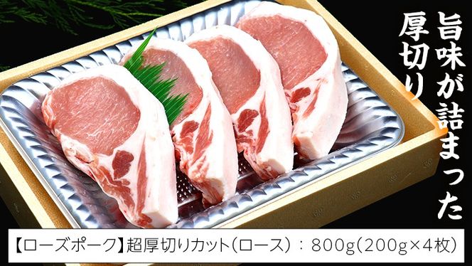 【 厚切り ! 】 常陸牛 × ローズポーク コラボ セット 1.4kg A4 A5 霜降り サーロイン ステーキ BBQ 厚切 牛肉 肉 にく とんかつ トンテキ ブランド豚 厚切 豚ロース 豚肉 ( 茨城県共通返礼品 ) [AA009us]