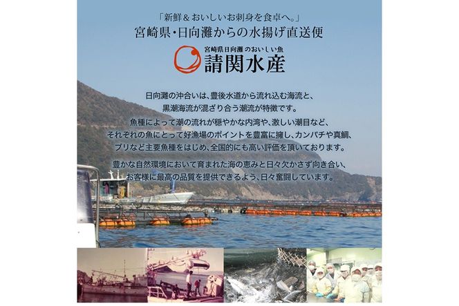 サーモン 漬け丼 (計350g) 簡単 便利 小分け 鮮度抜群 冷凍 個包装 お取り寄せ 海鮮丼 時短 【請関水産】【UZ-17】