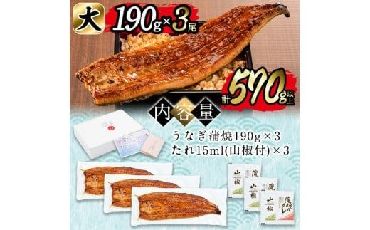 日ノ本一の鰻の蒲焼き＜大＞3尾セット(計570g以上) b7-029