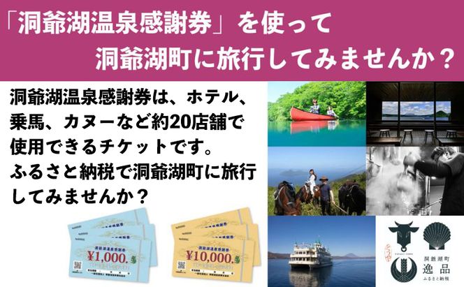 洞爺湖温泉感謝券 5000円 分 金券 クーポン 洞爺湖 湖 温泉 リゾート 有珠山 火山 自然 花火 イルミネーション 旅行 観光 宿泊 施設 宿 アクティビティ 体験 チケット 送料無料 北海道 洞爺湖町