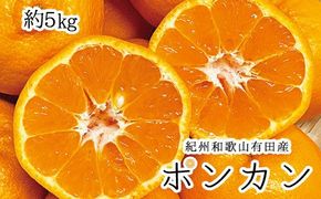 紀州和歌山有田産ポンカン 約5kg ※2027年1月下旬頃～2027年2月上旬頃に順次発送予定（お届け日指定不可）【uot722】