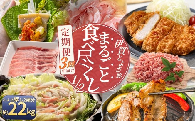 【3回分割発送】伊賀とよさ豚1/2まるごと食べ尽くし cook-tkb0003