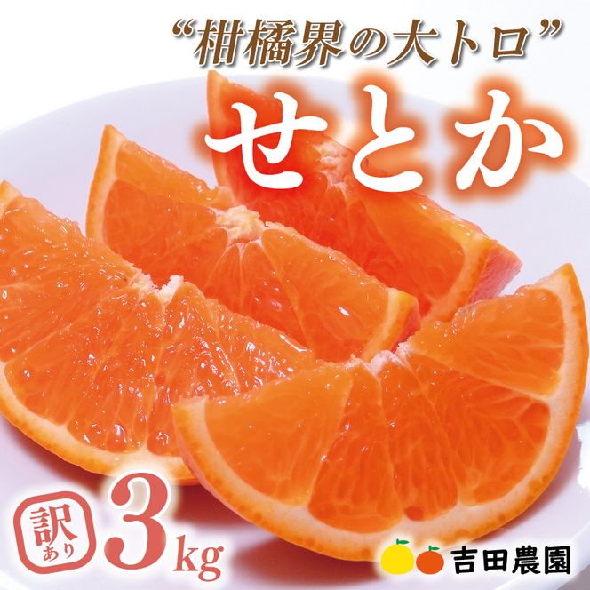 数量限定 先行予約 訳あり せとか 3kg みかん 家庭用 サイズミックス 14000円 高級 人気 ブランド プレミアム 柑橘 果物 フルーツ 期間限定 産地直送 国産 農家直送 わけあり 特産品 お取り寄せ mikan 蜜柑 ミカン オレンジ スマイルカット ビタミン 甘い おいしい 大トロ 不揃い 吉田農園 愛南町 愛媛県