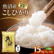 【令和8年産 先行予約】「6カ月定期便」食味鑑定士厳選！魚沼産こしひかり 15kg(5kg×3)×6回 白米 米 コシヒカリ 定期 新潟県 十日町市