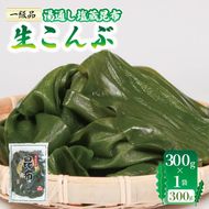 生こんぶ 300g×1袋 こんぶ 昆布 コンブ 三陸 国産 岩手県 大船渡 [honda011]