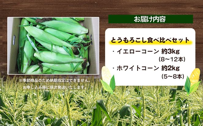とうもろこし食べ比べセット　約5kg 野菜 野菜セット とうもろこし イエローコーン ホワイトコーン 詰合せ 