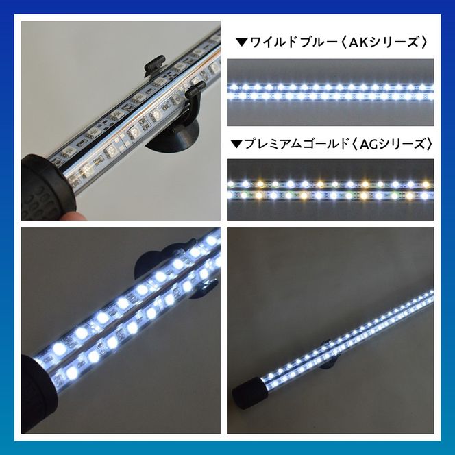 一瞬で綺麗に魅せる!金龍の青を最大限に強調する水中LEDライト|AK120-EX［172C18］金龍 専用 ワイルドブルー 青 水中 アロワナ 高輝度 水槽ライト テンニングライト LED ライト 照明 水中照明 光 綺麗 透明感 強化ガラス 吸盤 1年保証 簡単 設置 でんらい インテリア 雑貨 愛知県 小牧市 送料無料